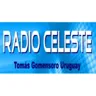 Radio Celeste